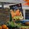 40" x 28" Pumpkins & Sunflowers Hello Autumn Outdoor Fall Harvest House Flag